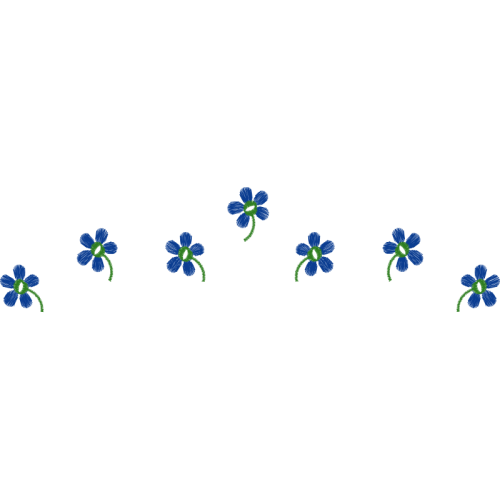 Woolly Lavender Flowers Woolly Lavender Flowers