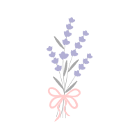 Woolly Lavender Flowers
