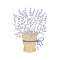 Woolly Lavender Flowers