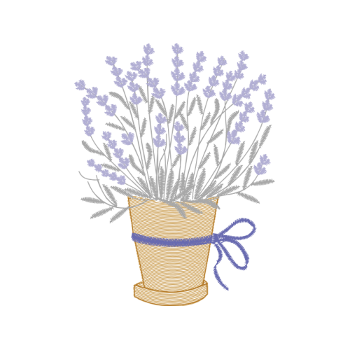 Woolly Lavender Flowers Woolly Lavender Flowers