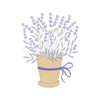 Woolly Lavender Flowers