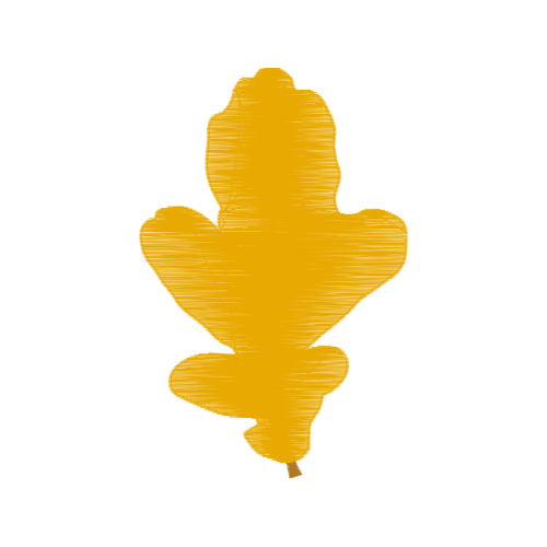 Art Flowers Art Flowers