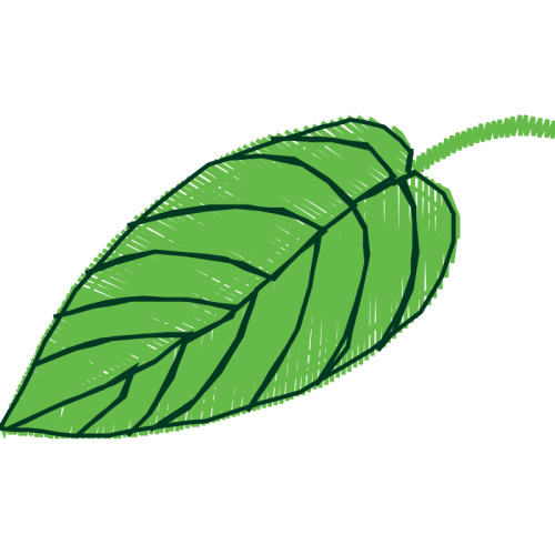 Art Flowers Art Flowers