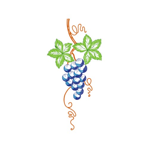 Art Flowers Art Flowers