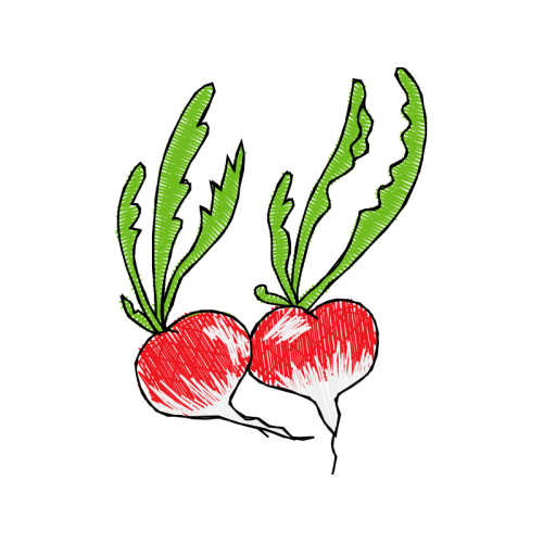 Art Flowers Art Flowers