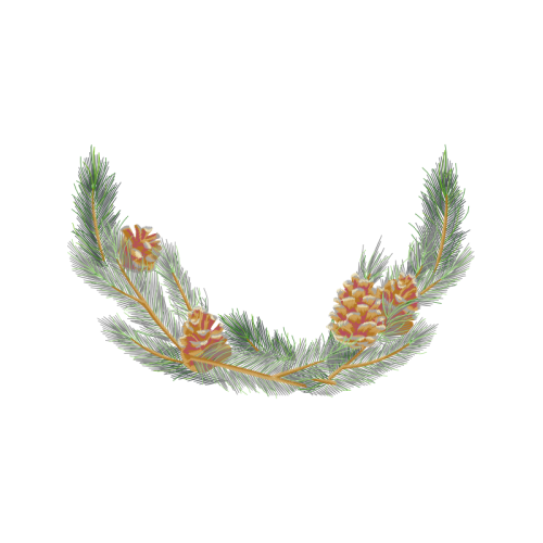 Balsam Fir Flowers Balsam Fir Flowers