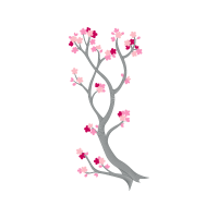Cherry Blossom Flowers