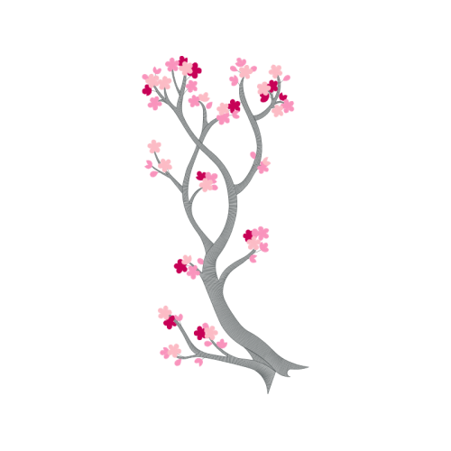 Cherry Blossom Flowers Cherry Blossom Flowers