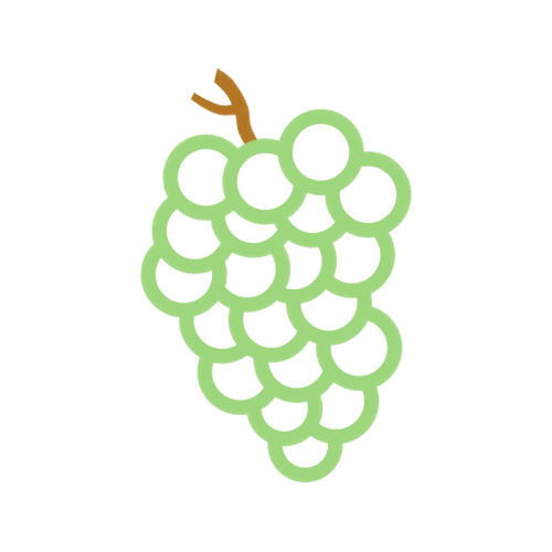 Circle Flowers Circle Flowers