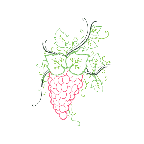 Drawing Flowers Drawing Flowers