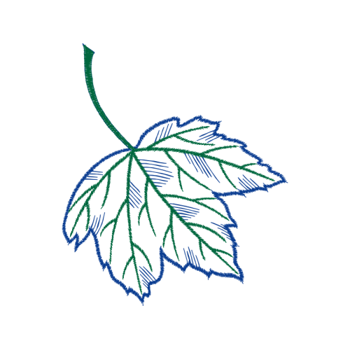 Drawing Flowers Drawing Flowers