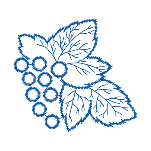 Drawing Flowers Drawing Flowers