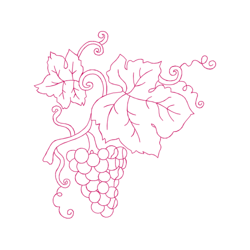 Drawing Flowers Drawing Flowers