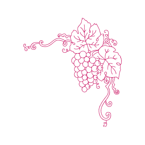 Drawing Flowers Drawing Flowers