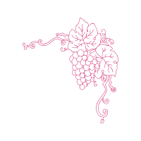 Drawing Flowers Drawing Flowers