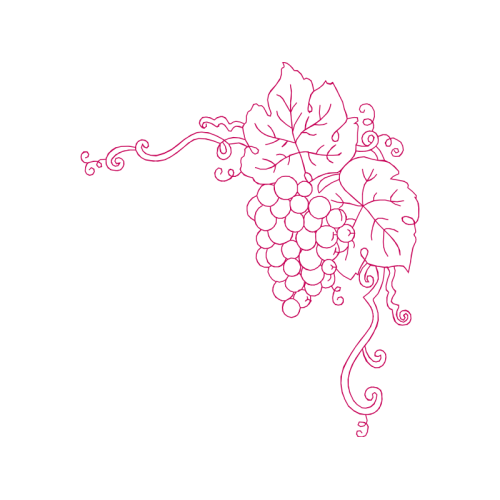 Drawing Flowers Drawing Flowers