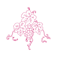 Drawing Flowers Drawing Flowers