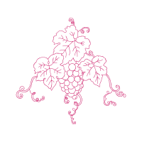 Drawing Flowers Drawing Flowers