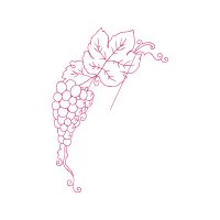 Drawing Flowers Drawing Flowers