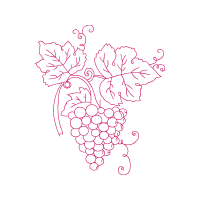 Drawing Flowers Drawing Flowers