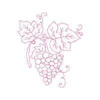 Drawing Flowers Drawing Flowers