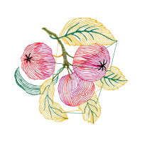 Drawing Flowers Drawing Flowers