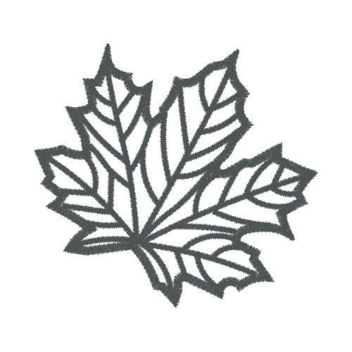 Drawing Flowers Drawing Flowers