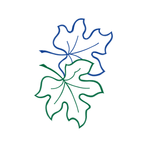 Drawing Flowers Drawing Flowers