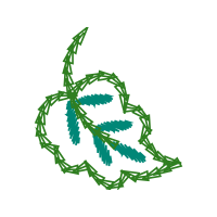 Drawing Flowers Drawing Flowers