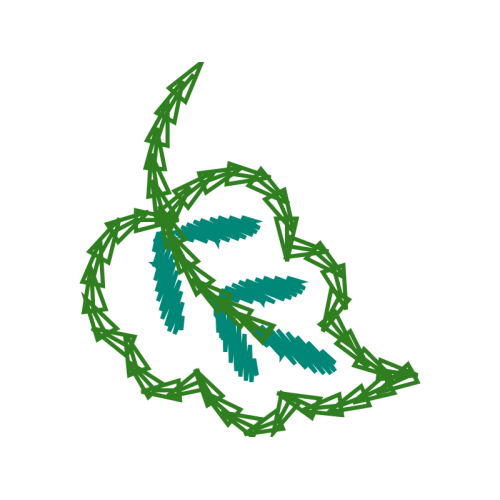 Drawing Flowers Drawing Flowers