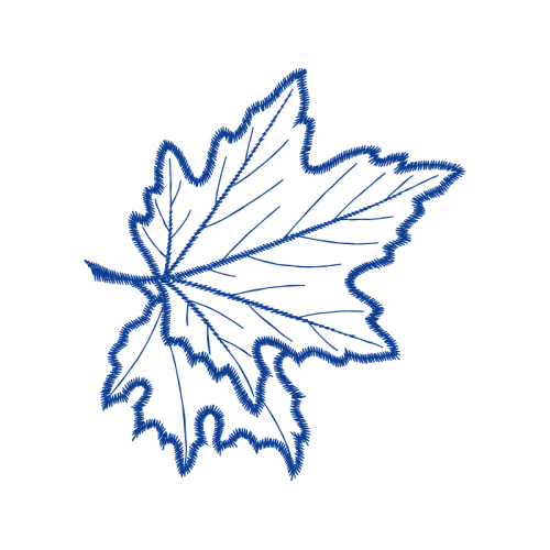 Drawing Flowers Drawing Flowers