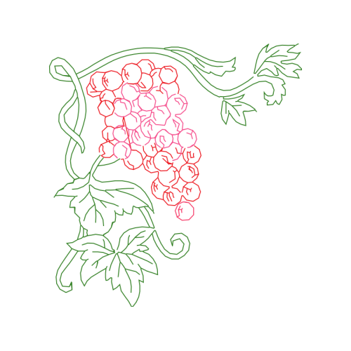 Drawing Flowers Drawing Flowers