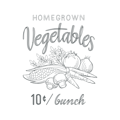 Drawing Flowers Drawing Flowers