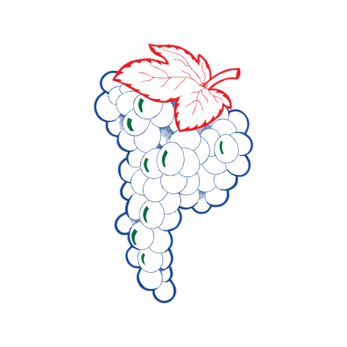 Drawing Flowers Drawing Flowers