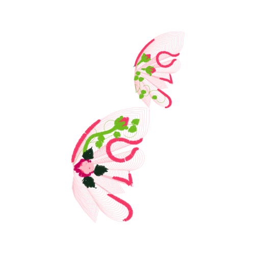 Drawing Flowers Drawing Flowers