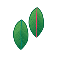 Earring Flowers Earring Flowers