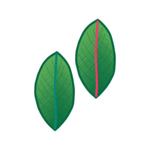 Earring Flowers Earring Flowers