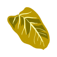 Fish Flowers Fish Flowers