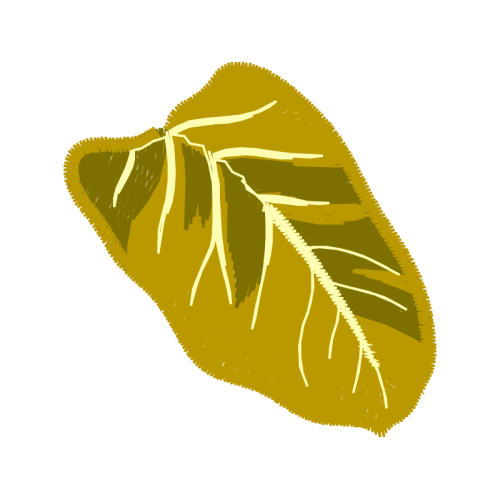 Fish Flowers Fish Flowers