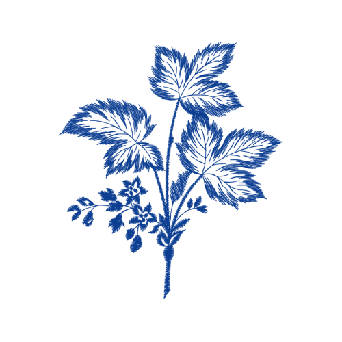 Flower Flowers Flower Flowers