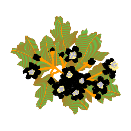 Flower Flowers Flower Flowers