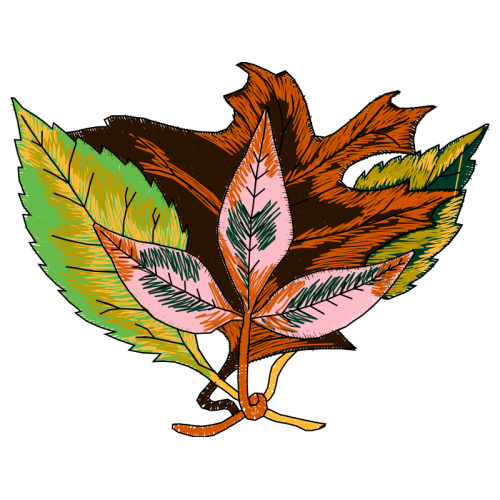 Flower Flowers Flower Flowers