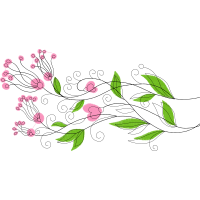 Flower Flowers Flower Flowers