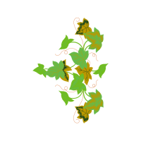 Flower Flowers Flower Flowers