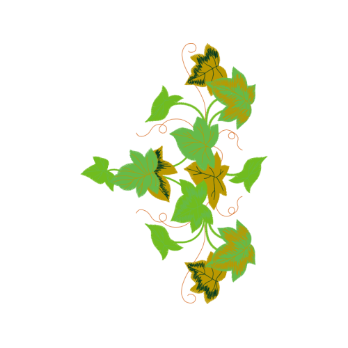 Flower Flowers Flower Flowers