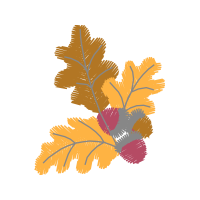 Flower Flowers Flower Flowers