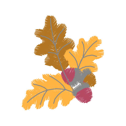 Flower Flowers Flower Flowers