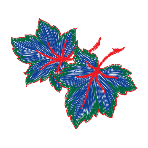 Flower Flowers Flower Flowers