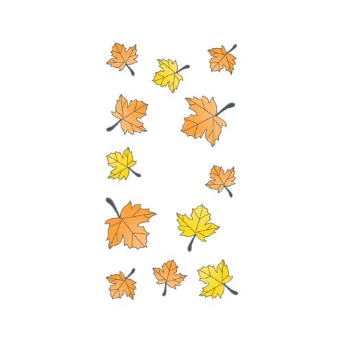 Flower Flowers Flower Flowers