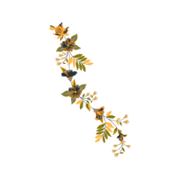 Full Flowers Full Flowers